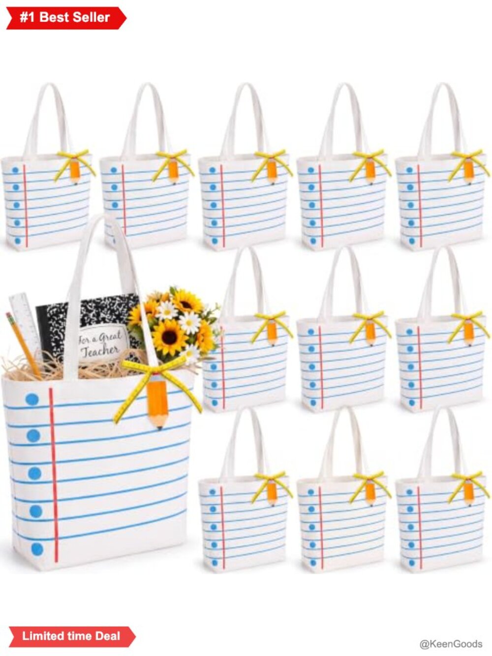12 Mini Canvas Tote Bags Teacher Gift Set with Ribbon Tags